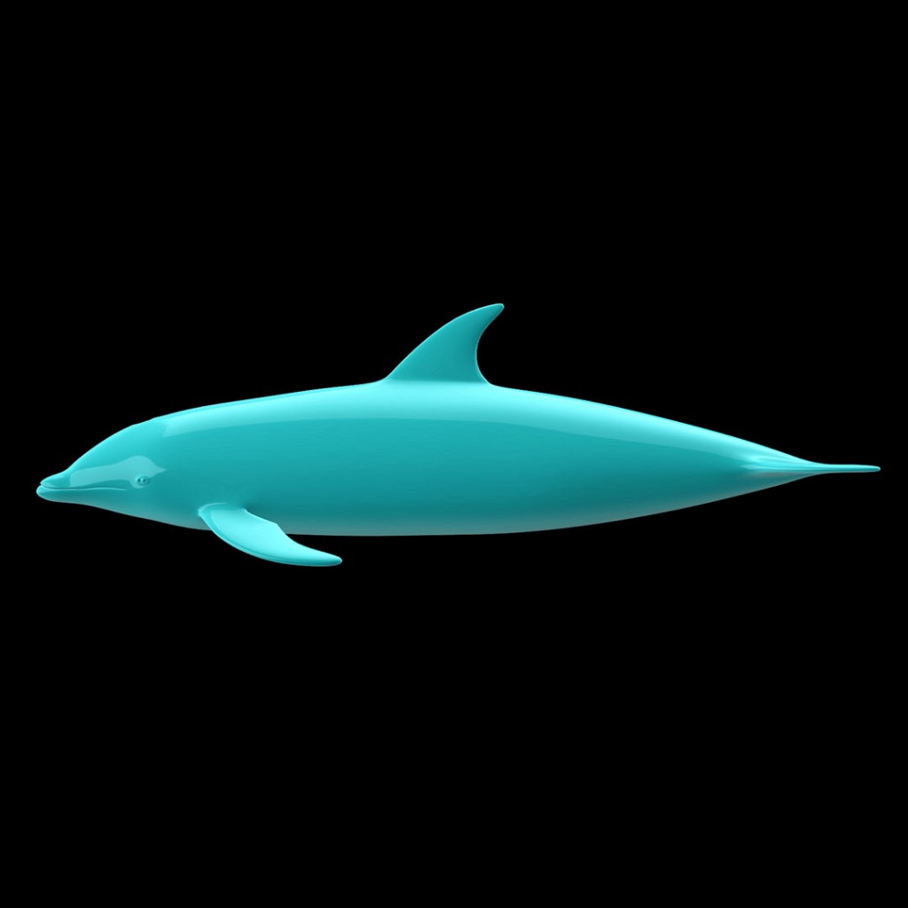Bottlenose Dolphin preview image 3